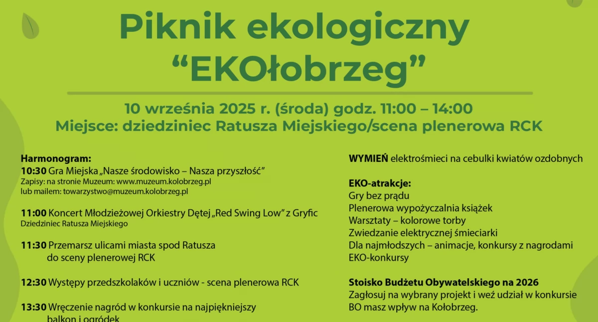 Piknik ekologiczny - zielone święto miasta