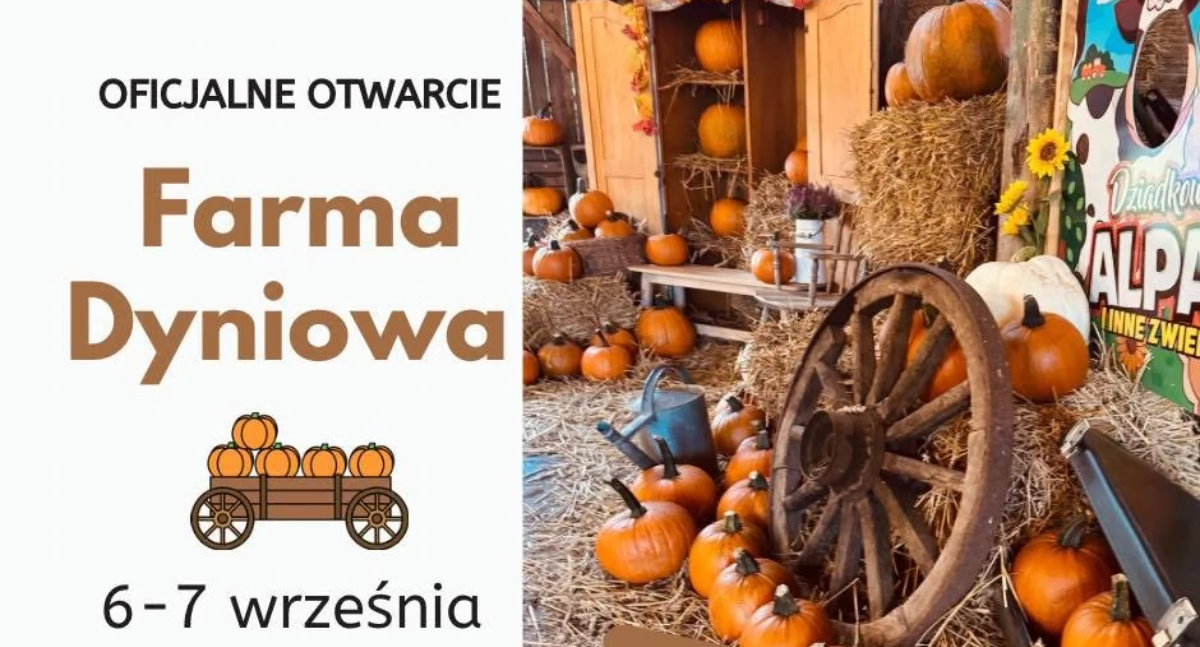Otwarcie kolejnej edycji farmy dyniowej