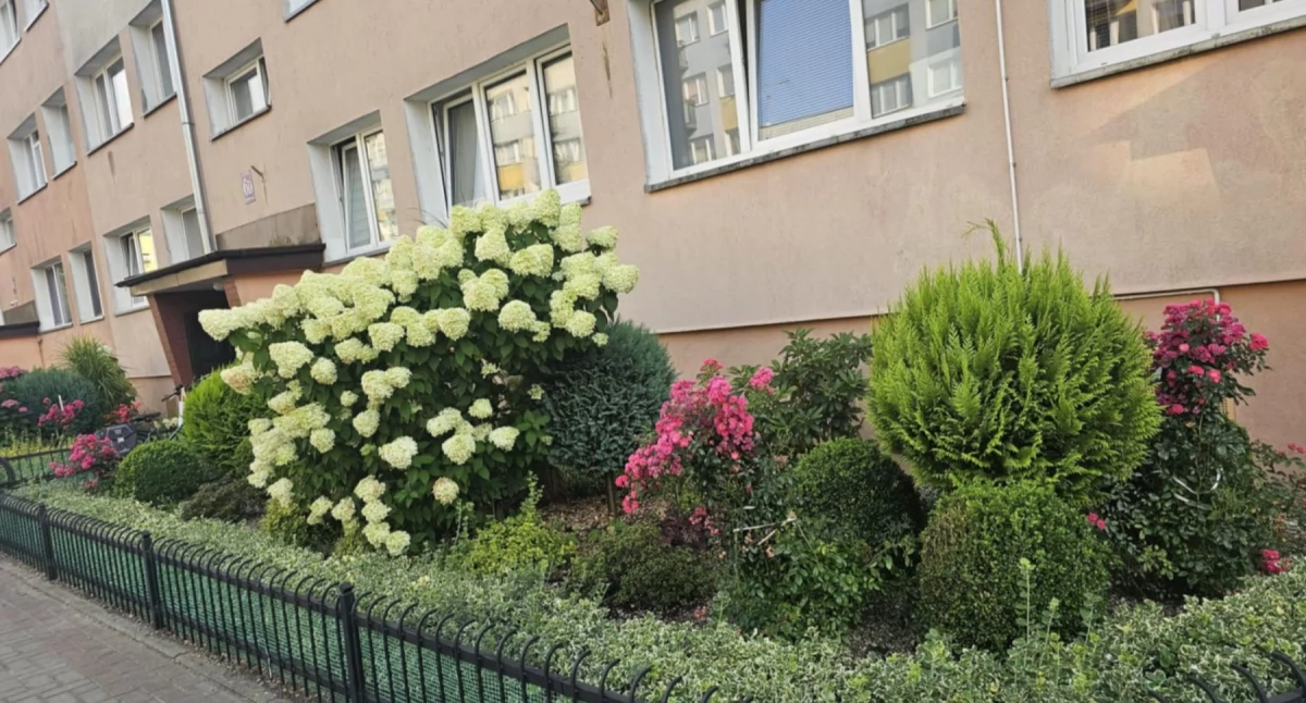 To oni mają najładniejsze ogródki i balkony w mieście