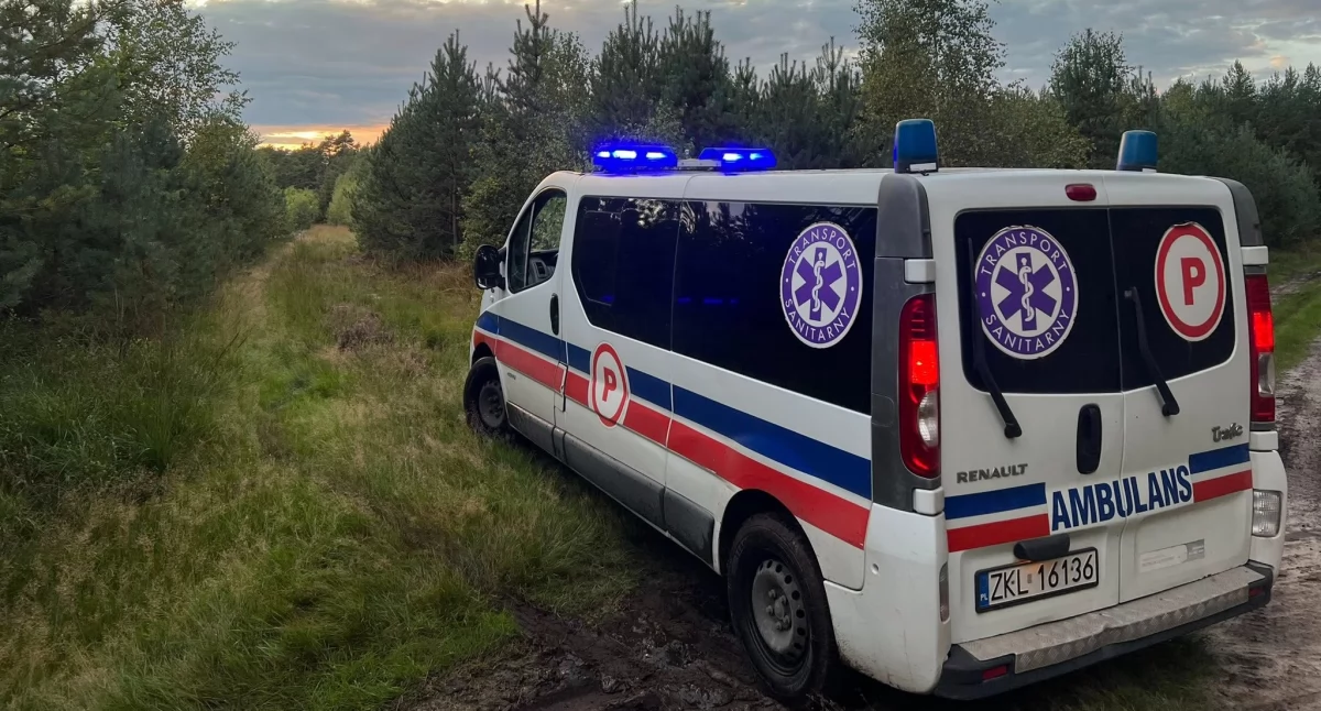 Grzybobranie zakończone akcją ratunkową. Senior zgubił się w lesie, uratowała go jedna rzecz