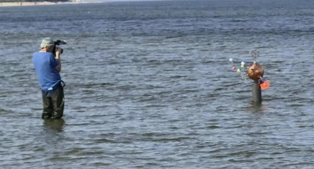 Instalacja grafika z Niemiec jedną z atrakcji na plaży w Grzybowie. Co to było?