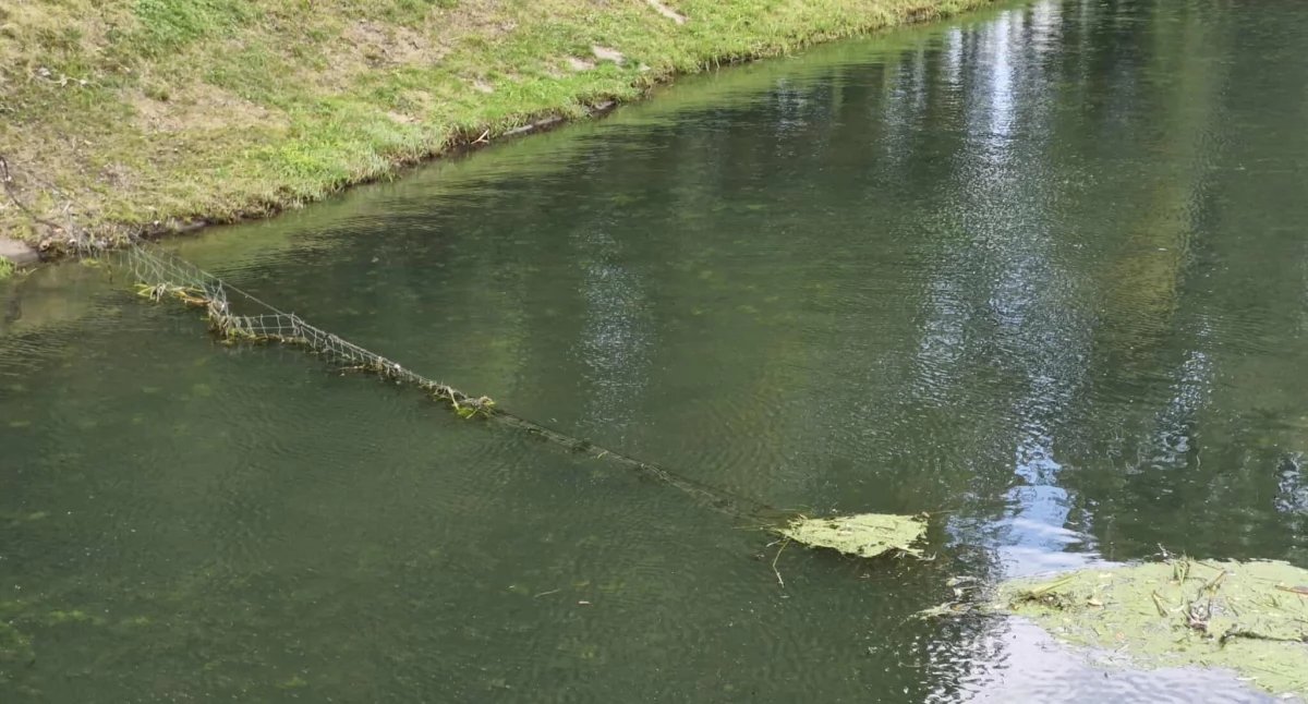 Siatka na Kanale Drzewnym. Dlaczego została zamontowana?