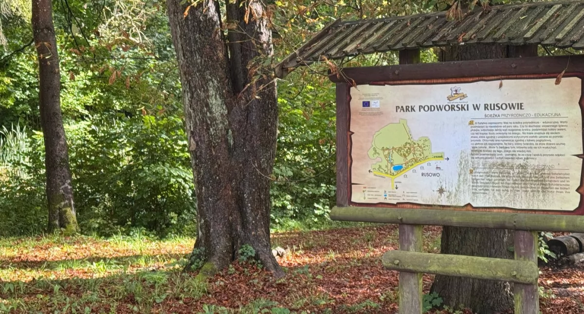 Zabytkowy park odzyska dawny charakter