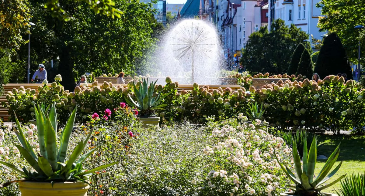 Plac 18 Marca rozkwitł jak wiosną | foto
