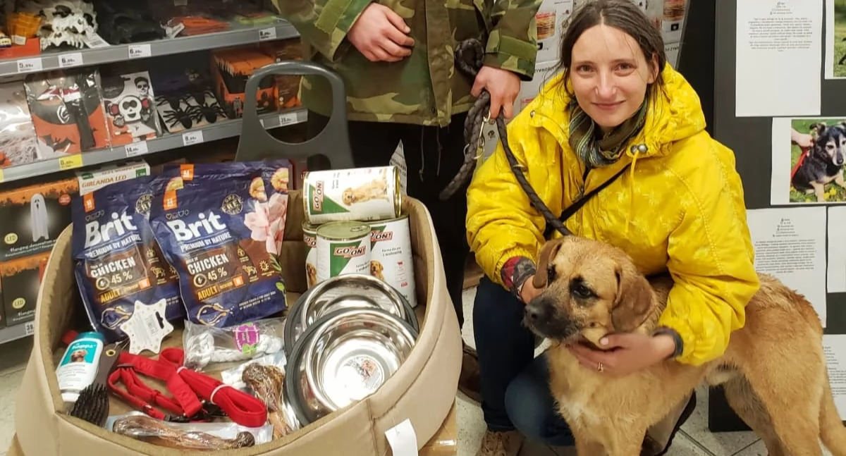 Nowy dom dla Rockiego i szansa dla kolejnych. W Kołobrzegu ruszyła akcja adopcyjna