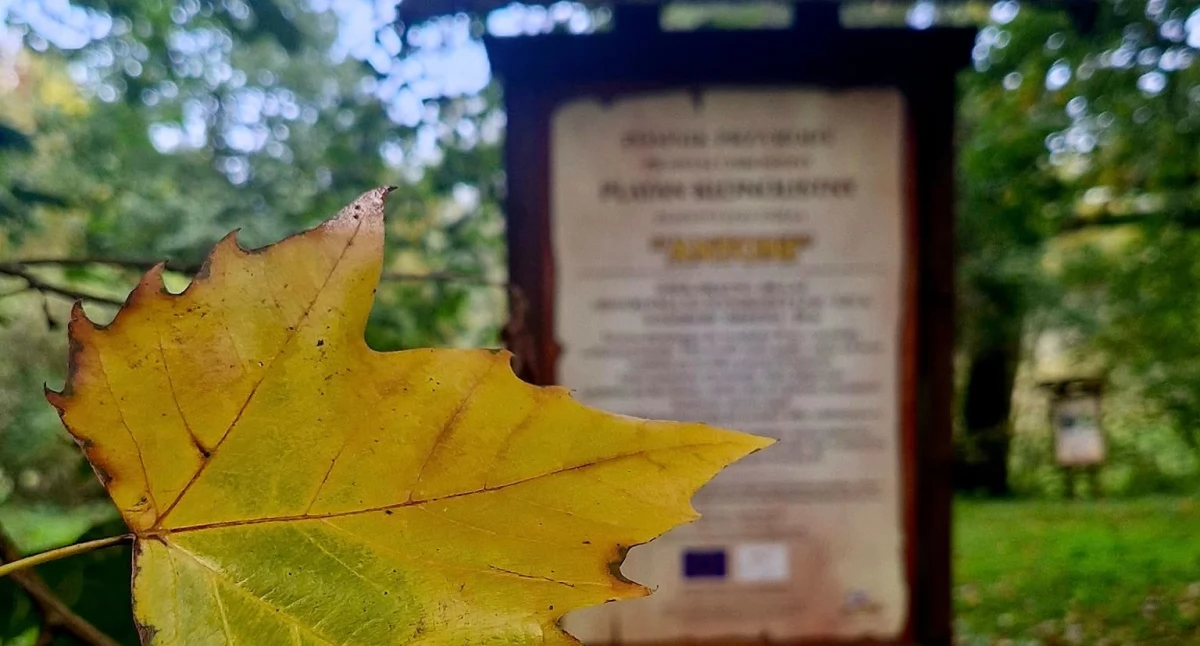 Zabytkowy park z unijnym wsparciem. Wkrótce ruszy rewitalizacja perełki gminy Ustronie Morskie