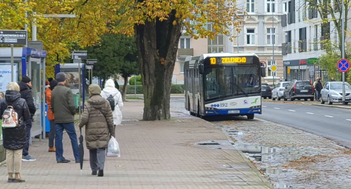 Jak dojechać na cmentarz? Dodatkowe autobusy Komunikacji Miejskiej