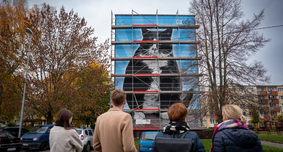 Ekologiczne murale na Pomorzu Zachodnim. Wkrótce ruszą prace w Kołobrzegu