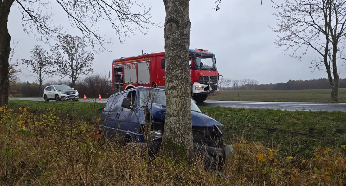 Samochód uderzył w drzewo. Kierowca oddalił się z miejsca zdarzenia