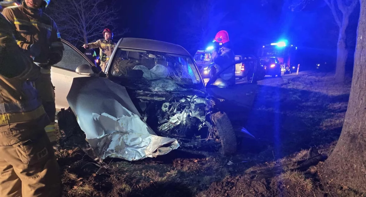Wypadek na starej DK nr 11. Samochód uderzył w drzewo, dwie osoby poszkodowane