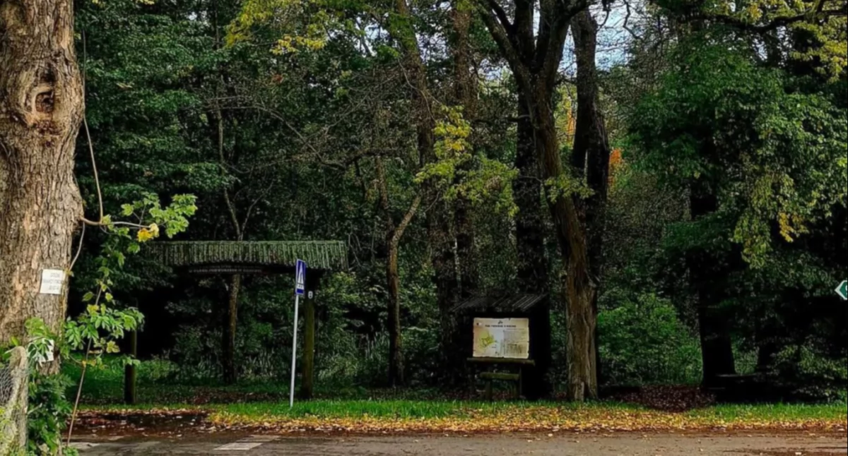 Rewitalizacja historycznego parku coraz bliżej. Gmina pozyskała 1,5 mln zł dofinansowania