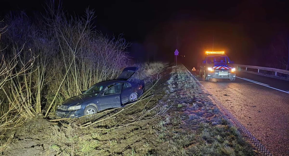 Sarna wybiegła pod koła, samochód wylądował w rowie