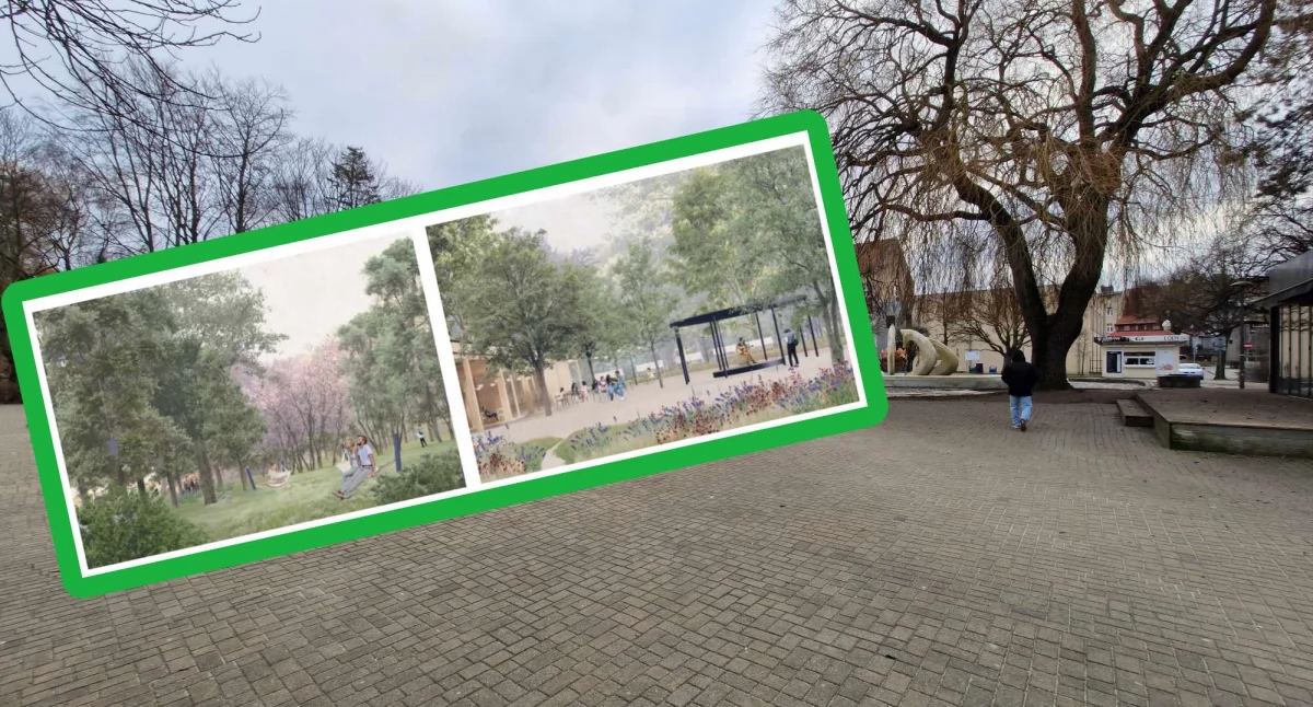 Jak bardzo Tarasy Kultury będą zielone? Ponad 4 tysiące nowych krzewów na dawnym skwerze