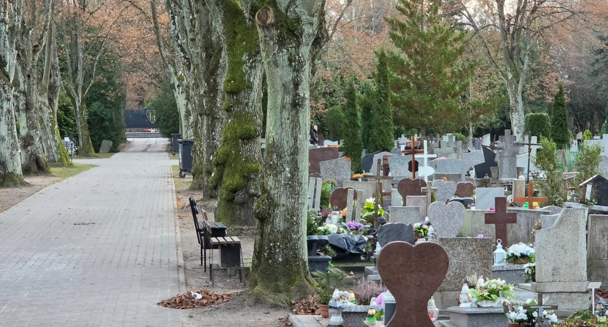 Psy na cmentarzu? Radny chce jasnych zasad przy wejściach na nekropolię