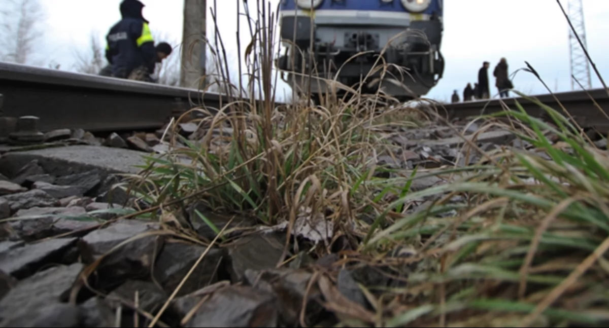 Tragiczny wypadek na trasie Szczecin – Kołobrzeg. Są utrudnienia