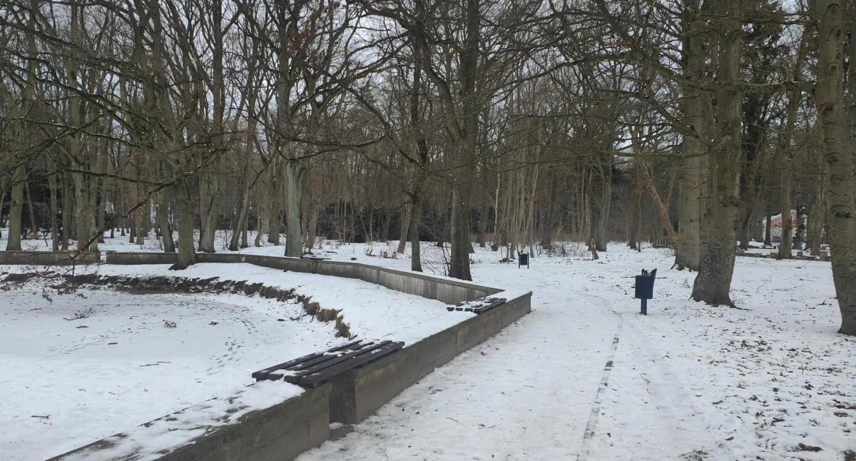 Przetarg rozstrzygnięty. Miasto zapłaci 1,3 mln zł za rewitalizację Parku Szarmacha