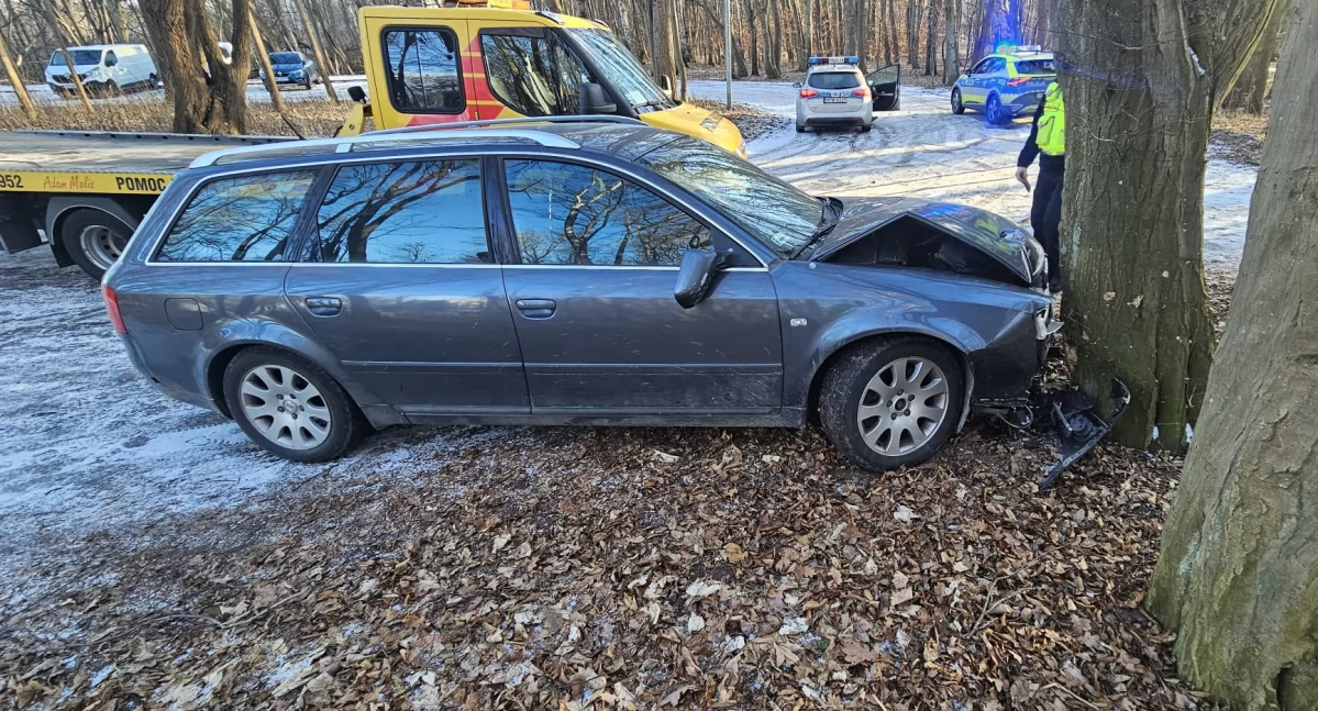 Samochód wpadł w poślizg i uderzył w drzewo
