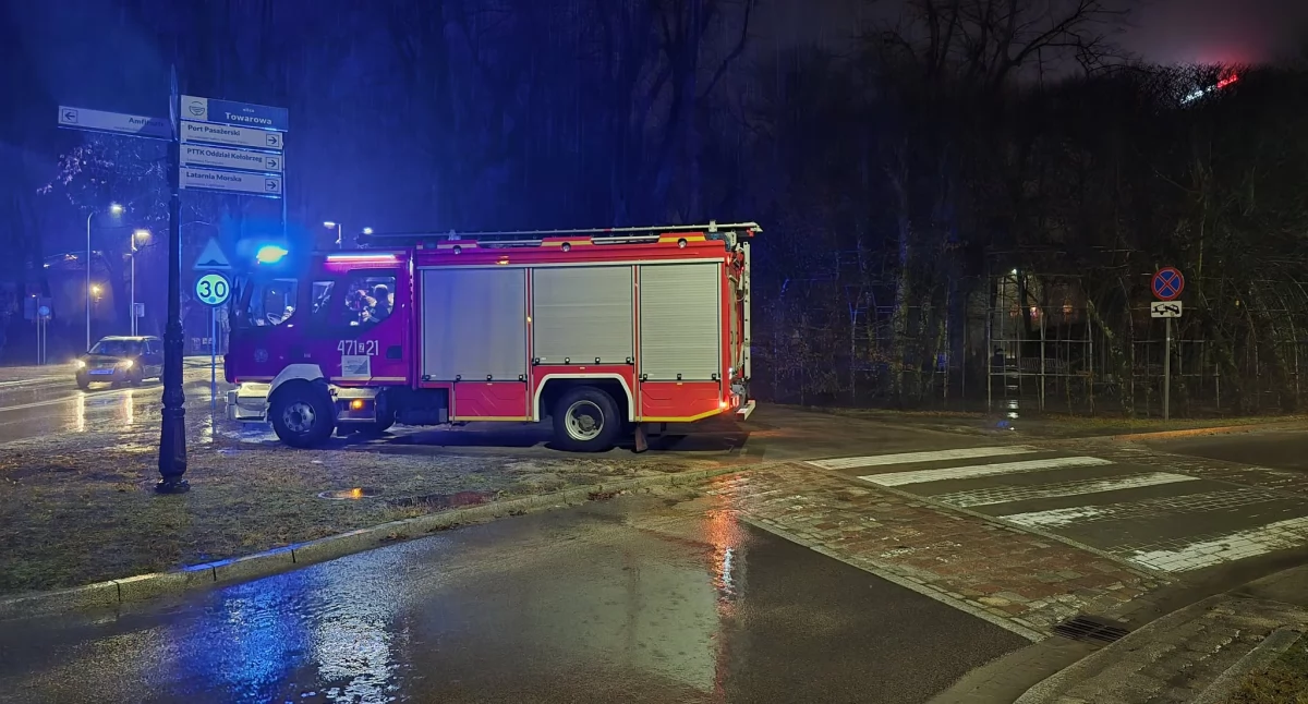 Pies porażony prądem. Awaria przy Bindażu Grabowym