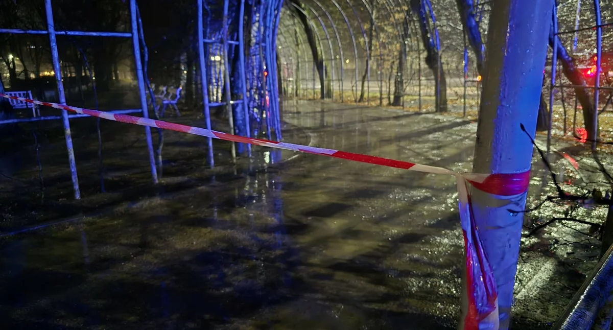 Problem z iluminacją Bindaża – pies porażony prądem. Co było przyczyną?