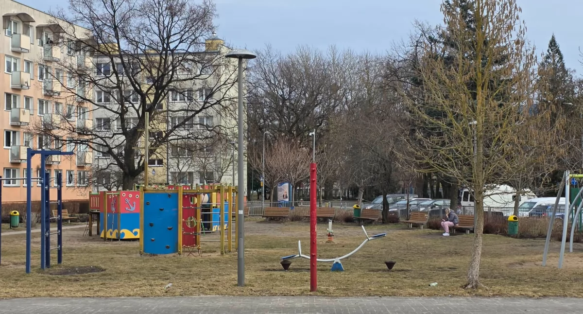 Średniowieczna przygoda dla najmłodszych. Miasto zleca projekt dla zamkowego placu zabaw