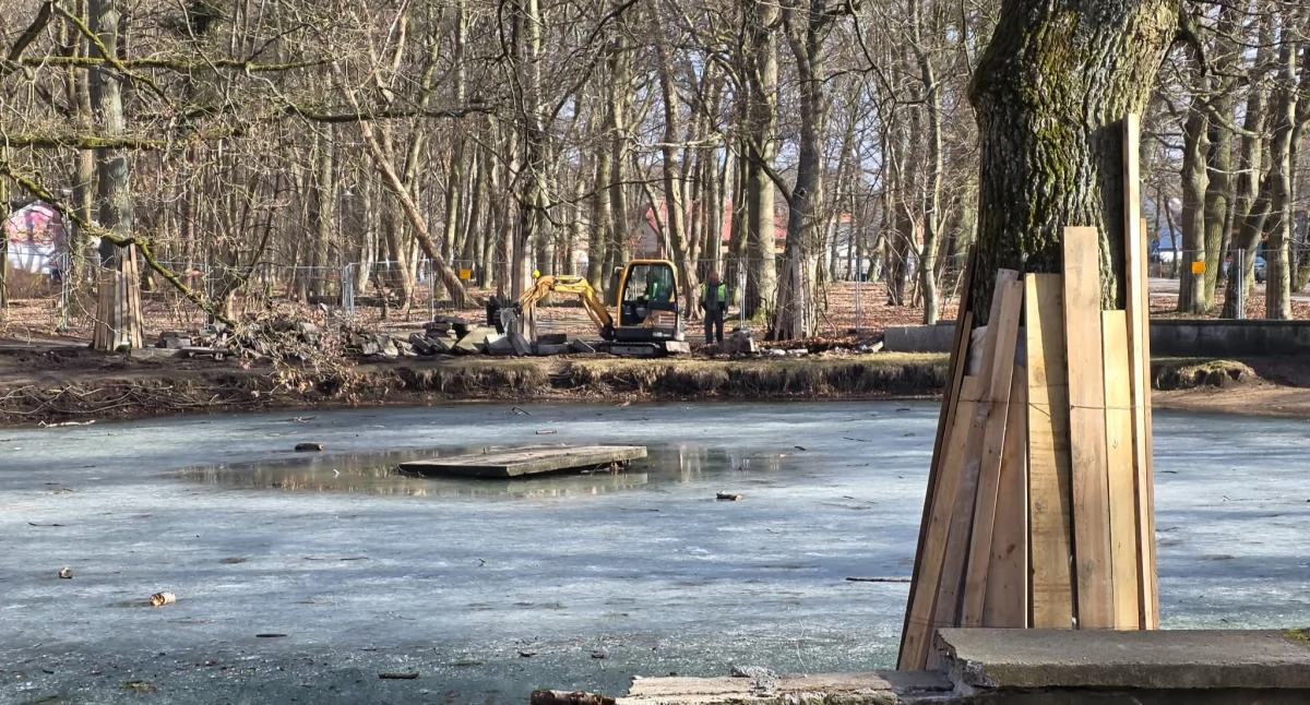 Ruszyła modernizacja Parku Antoniego Szarmacha. Zniknął murek wokół stawu