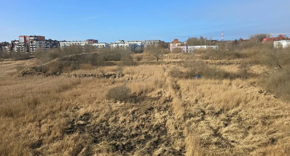 Park Południe jak Miró w Barcelonie? Ostatecznie zdecydują mieszkańcy