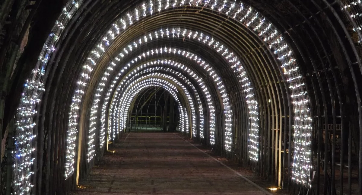 Wróciła iluminacja Bindaża Grabowego
