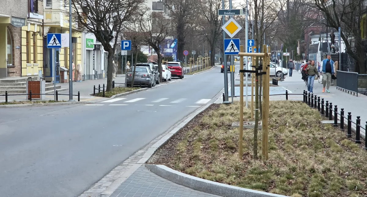 W mieście pojawią się pomarańczowe tulipany. Ponad 3 tys. sztuk zakwitnie tylko w tym miejscu
