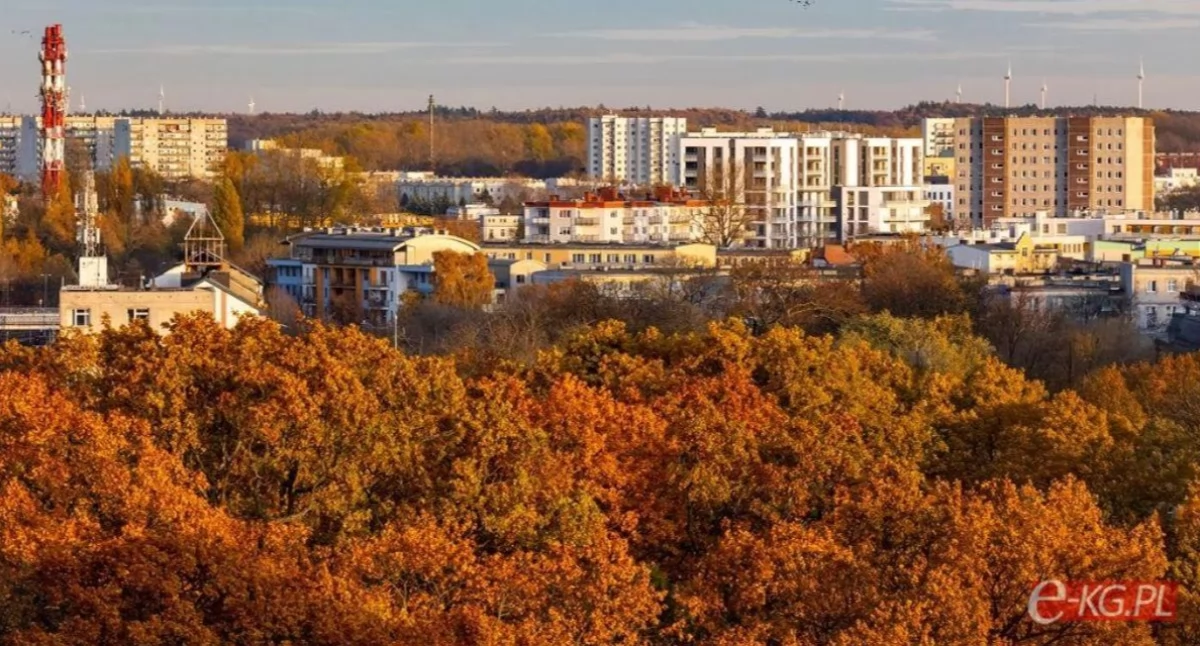 Ankieta dla mieszkańców Kołobrzegu. Możesz mieć wpływ na decyzje