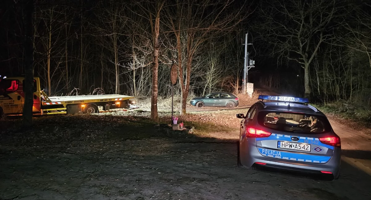 Obywatelskie zatrzymanie. Pijany kierowca miał 2,4 promila