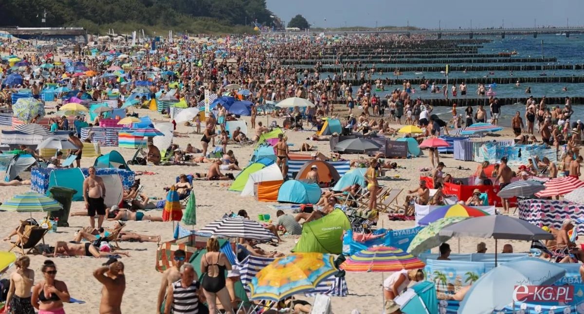 Miasto wydzierżawi plaże na setki leżaków i koszy plażowych