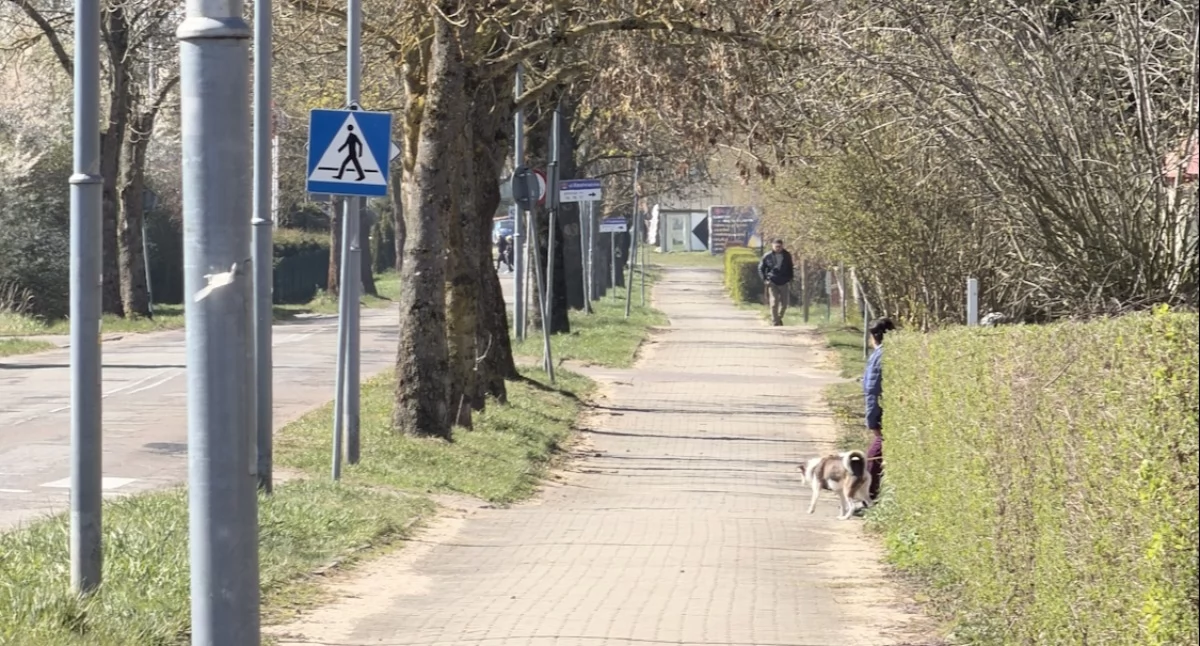 Będzie remont ulicy i nowy ciąg rowerowo-pieszy do Budzistowa