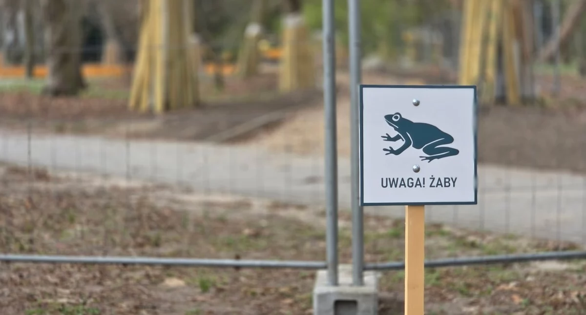 Powstanie plan ochrony siedliska płazów w Parku Szarmacha. Eksperci, wolontariusze i urzędnicy po rozmowach