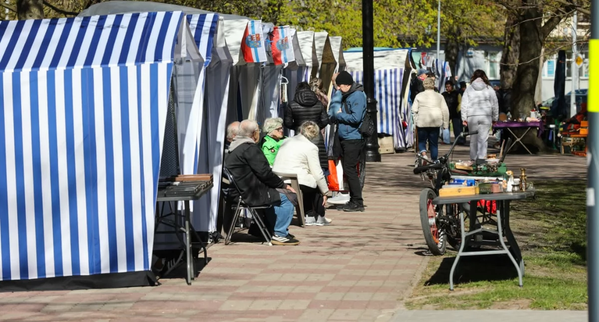 Znana alejka zmieniła adres. Kolekcjonerzy przenieśli się w nowe miejsce