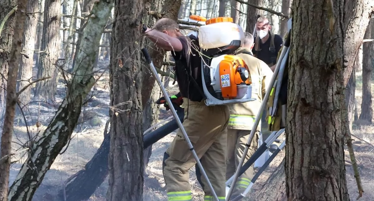 Trwa gaszenie dużego pożaru nad morzem. Na miejscu pracuje kilkudziesięciu strażaków