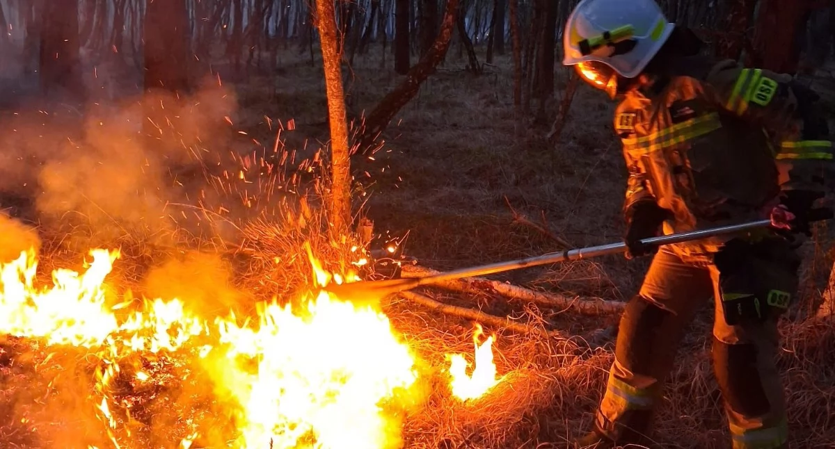 Duży pożar pod Kołobrzegiem. Walka z żywiołem trwa kolejny dzień
