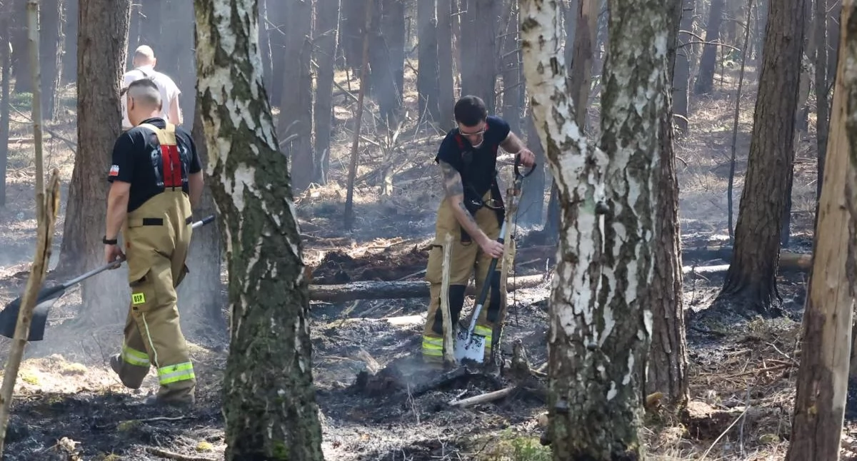 Koniec wielkiej akcji gaśniczej pod Kołobrzegiem. Strażacy walczyli z pożarem ponad tydzień