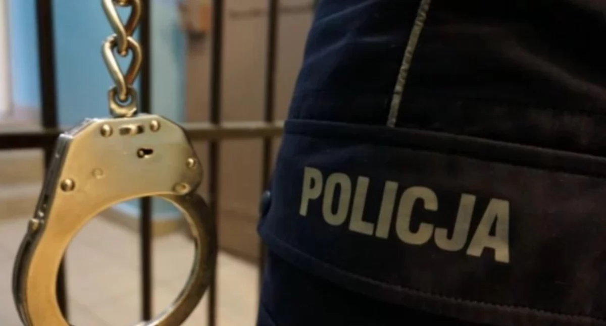 Rok więzienia za znęcanie się. Policjanci zatrzymali 35-latka