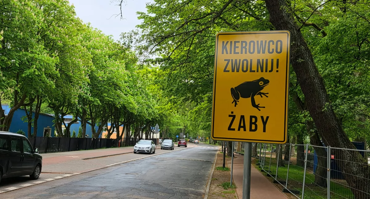 Wracają prace w Parku Szarmacha. Będzie specjalne ogrodzenia i codzienny monitoring