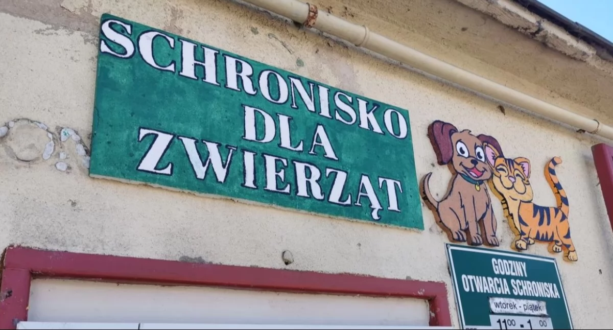 Nowy wyposażenie trafi do schroniska Reks. Miasto pozyskało dofinansowanie
