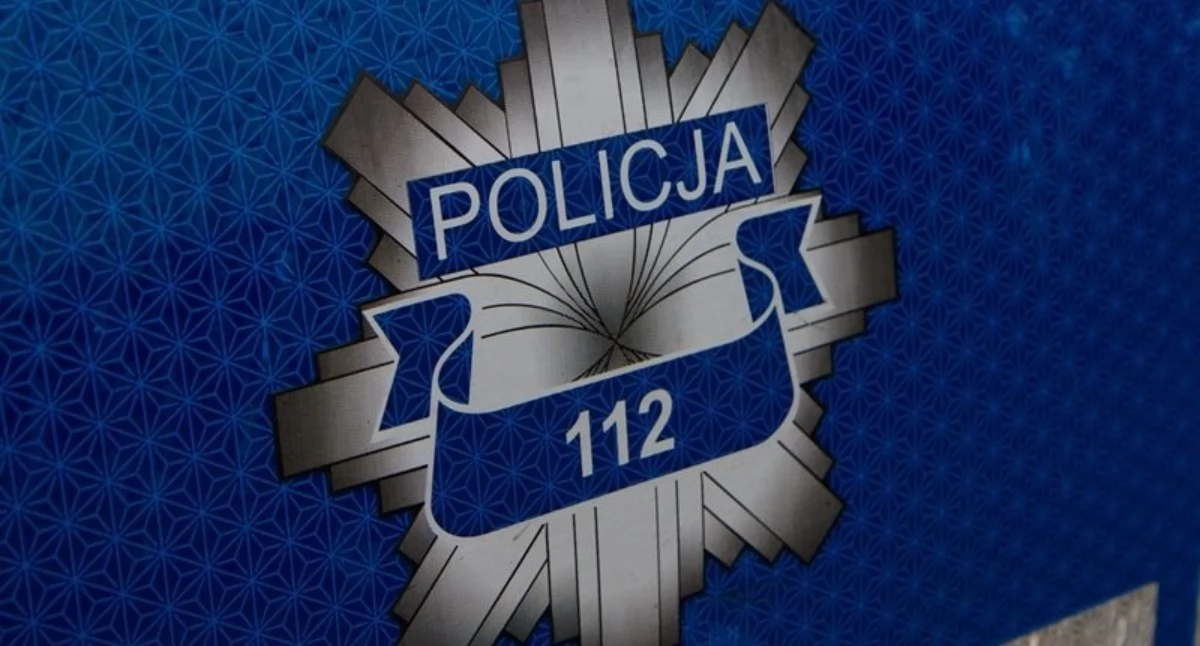 Poszukiwani i złodzieje w rękach policji