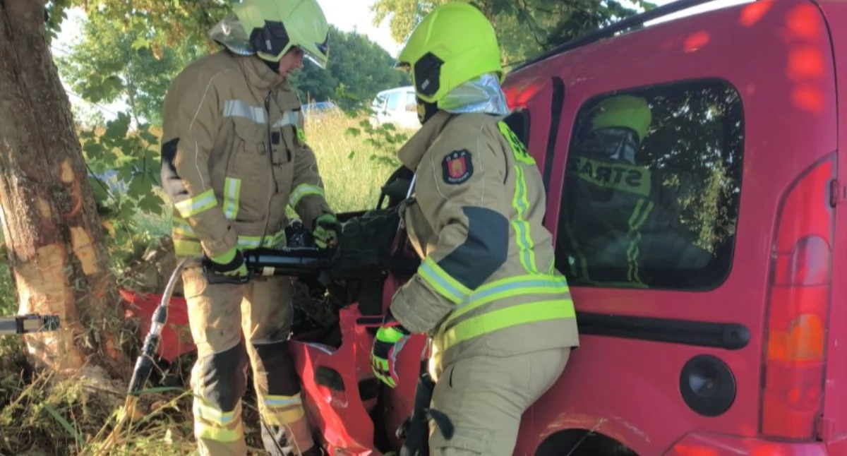 Samochód wjechał w drzewo, kierowca nie przeżyl wypadku