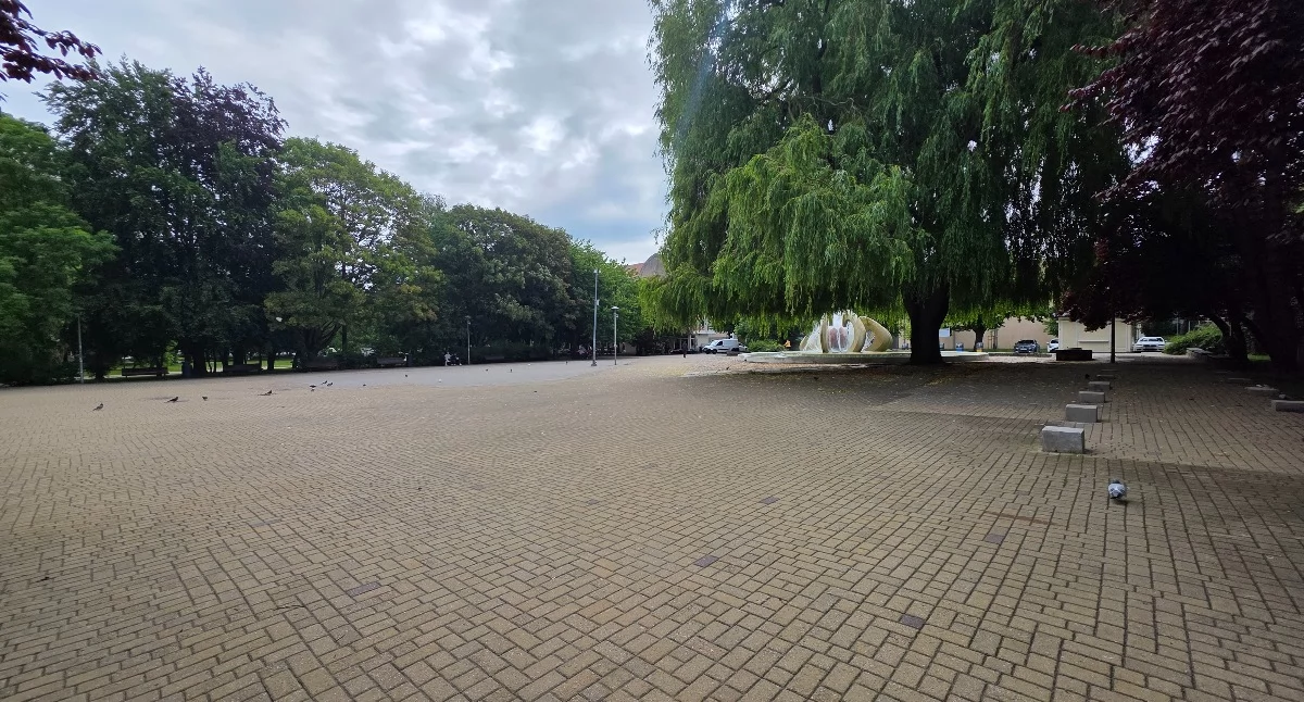 Najniższa cena nie przesądziła o wyniku. Wybrano wykonawcę Zielonych Tarasów Kultury