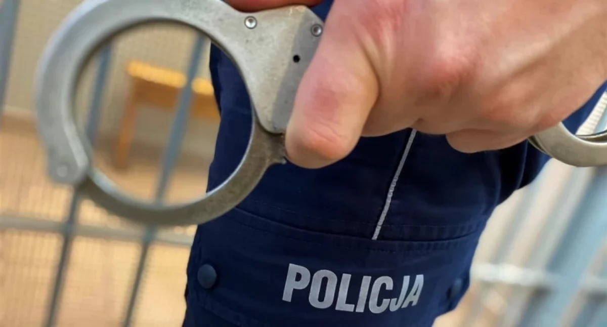 Od kradzieży sklepowej po nakazy doprowadzenia. Policyjna seria zatrzymań w powiecie