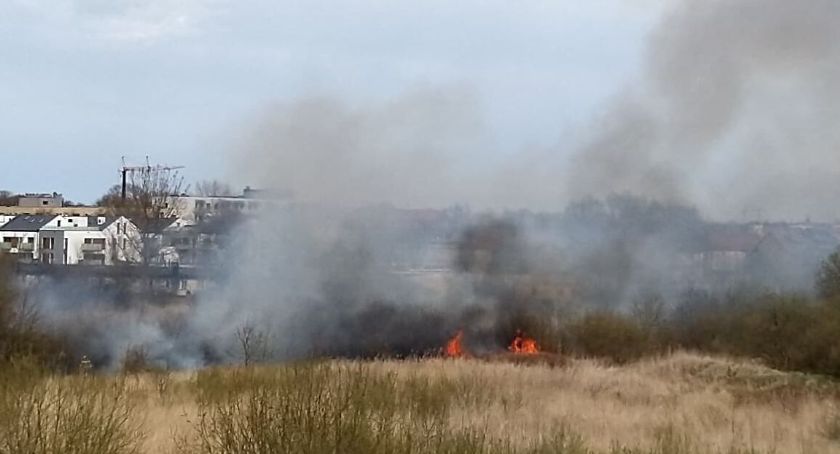 Duży pożar traw i nieużytków przy ulicy Mazowieckiej