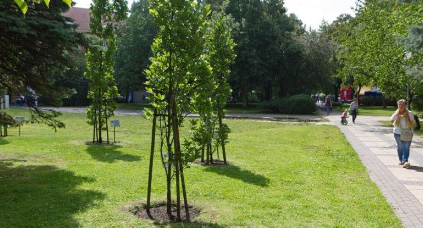 Obelisk katyński na Skwerze Pionierów? Mieszkańcy zadecydują