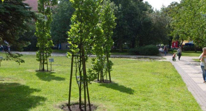 Czy na Skwerze Pionierów stanie głaz katyński? Mieszkańcy wyrazili swoją opinię 