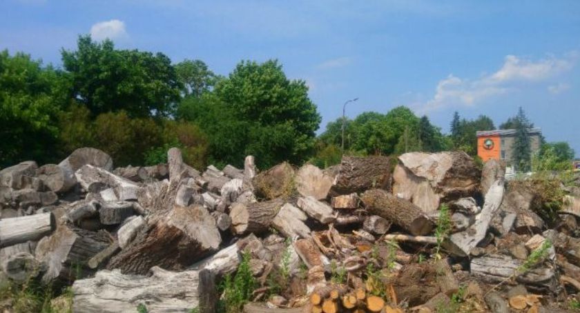 Na sprzedaż: Drewno opałowe za 1 zł\m3