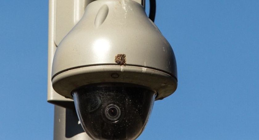 Zwabiła mężczyznę do parku. Jej koledzy pobili go i okradli