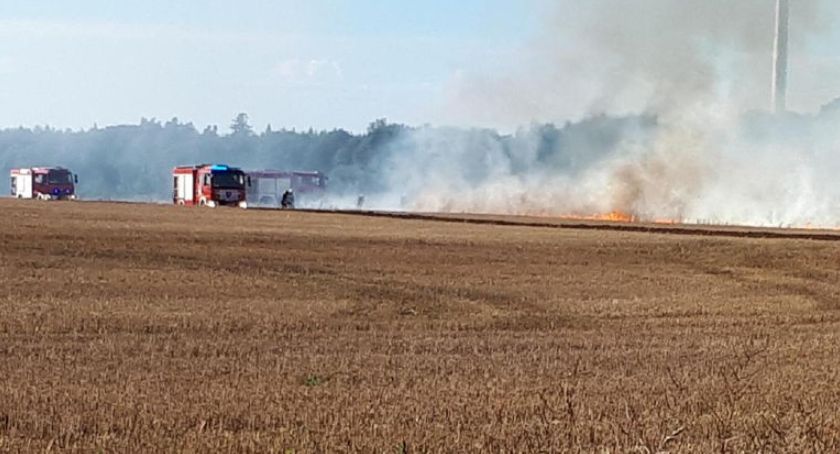Pali się 20 hektarów ścierniska 